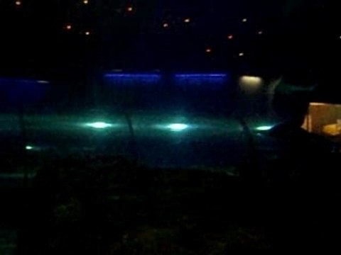 colo pégomas juillet 2007 marineland requins sharks 3