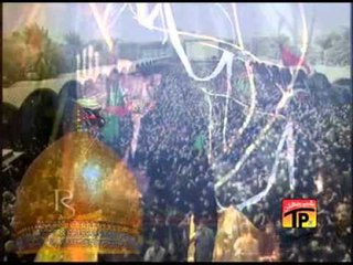 Zindagi Hussain Hai, Saleem Raza Nagari 2013-14