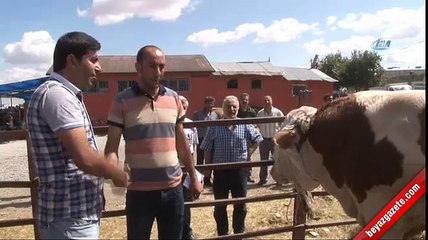 Kurban pazarının en büyüğü ‘Aslan’