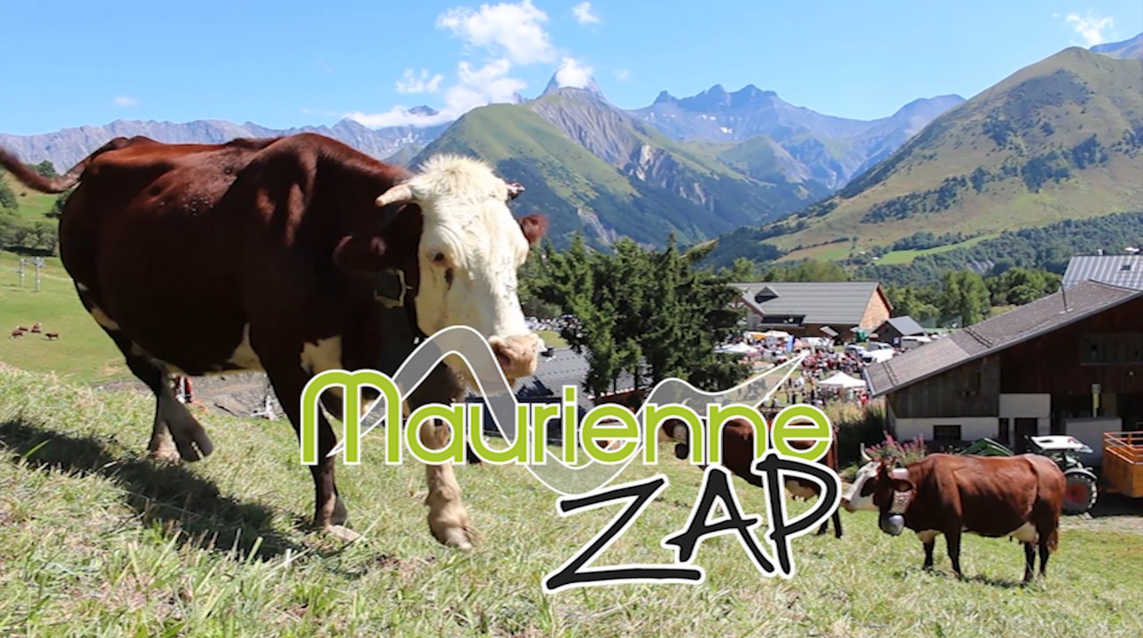 Maurienne Zap # 300