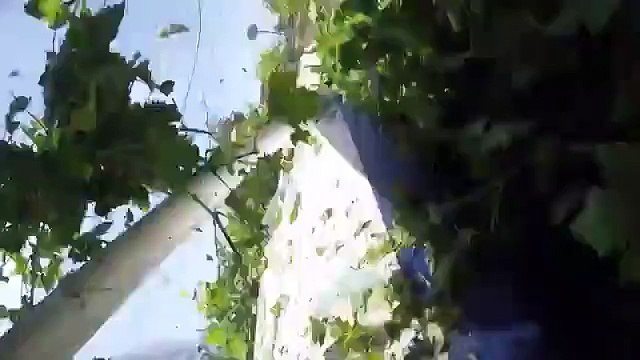 Un crash d’un avion transportant 17 parachutistes filmé de l’intérieur