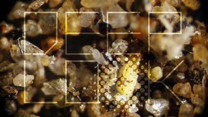 Santé: Que se passe t'il quand vous ne lavez pas vos draps ?