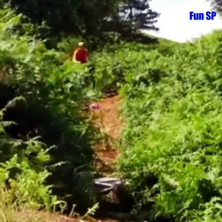 Funny video 2016 - try not to laugh.