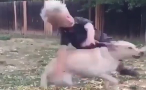 Compilation de Payous - Quand rien ne se passe comme prévu !