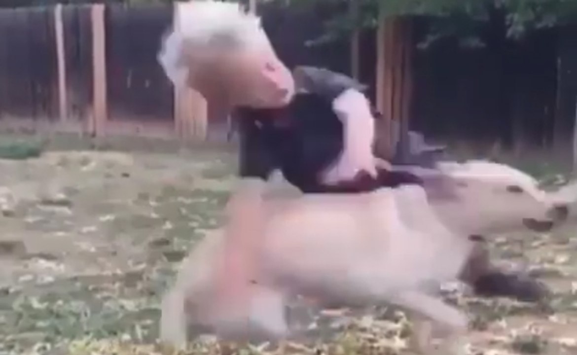 Compilation de Payous - Quand rien ne se passe comme prévu !