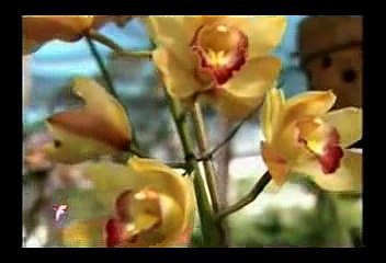 KINH PHẬT DẠY MƯỜI ĐIỀU LÀNH   (ĐĐ THÍCH GIÁC THIỆN BIÊN SOẠN)  .      (3)