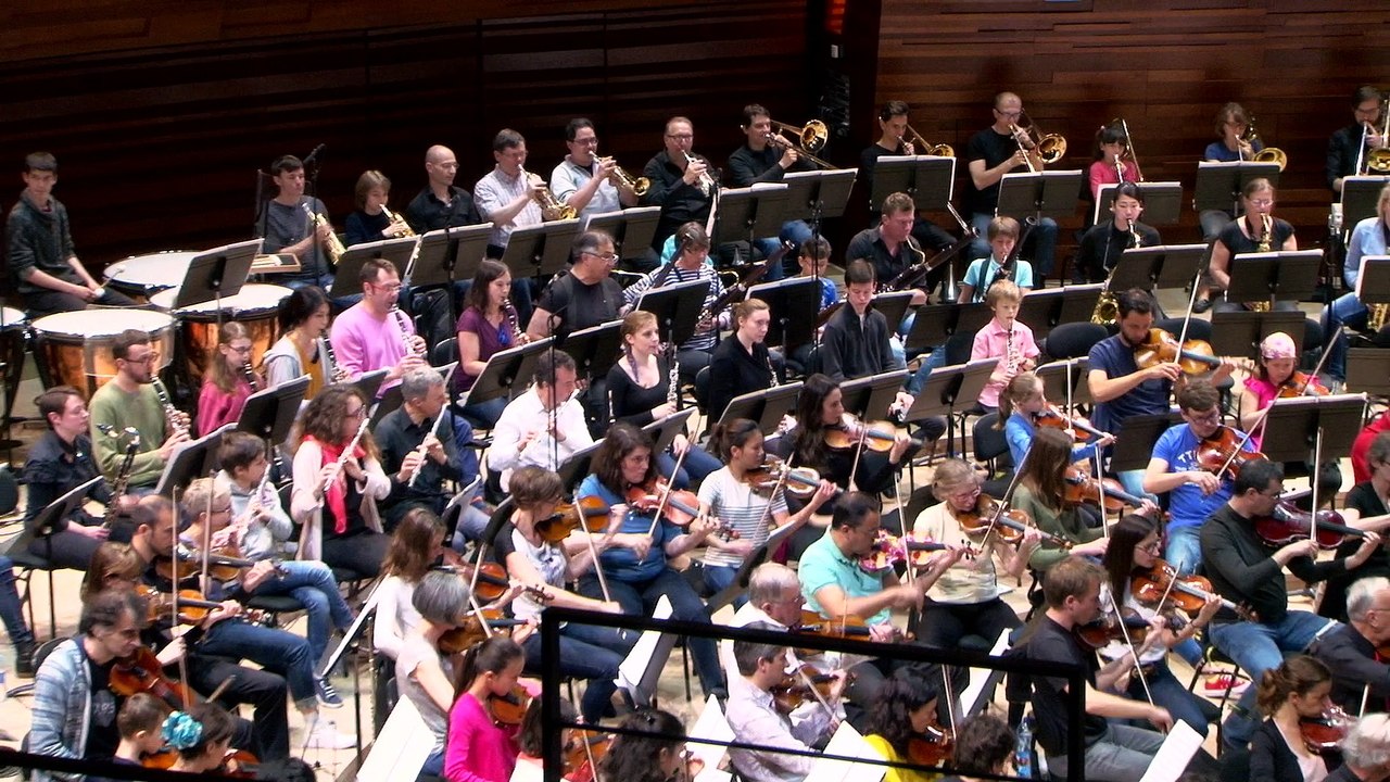 Viva l'Orchestra recrute pour 2017!