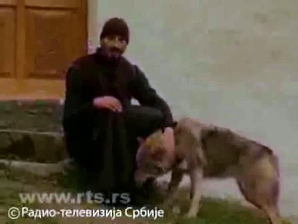 Serbian orthodox monk and a wolf
