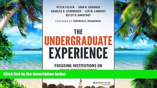Big Deals  The Undergraduate Experience: Focusing Institutions on What Matters Most  Best Seller