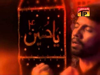 Aey Parindo, Ali Safdar 2013-14