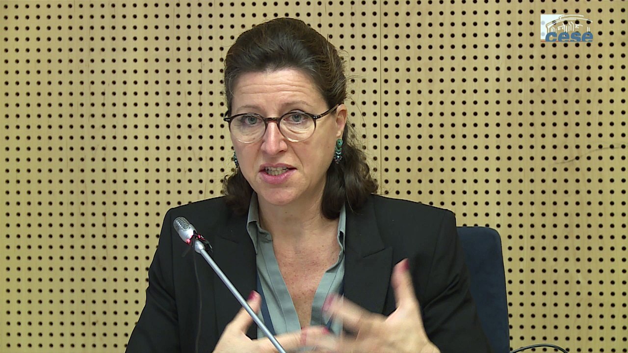 Audition d'Agnès BUZYN, Professeure de médecine (HAS) - Traitements médicaux - cese