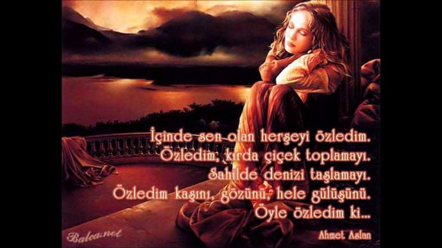 seslisalkim.com sen benimsin bende senin ergün efe