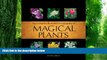 Must Have PDF  Complete Illustrated Encyclopedia of Magical Plants  Free Full Read Best Seller