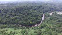 République démocratique du Congo : survol de la réserve naturelle d'Itombwe