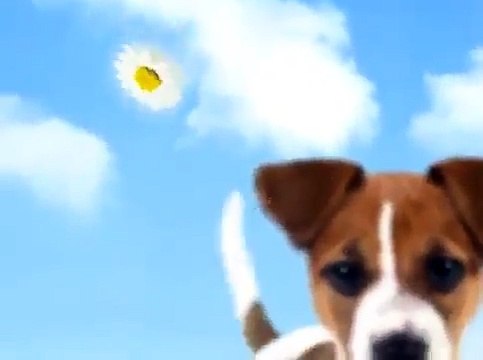 ╭❤╮ SCHÖNES WOCHENENDE FÜR EUCH ╭❤╮-67R6TRVKX_Y-HQ