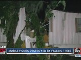 Mobile homes destroyed by falling trees in Valrico