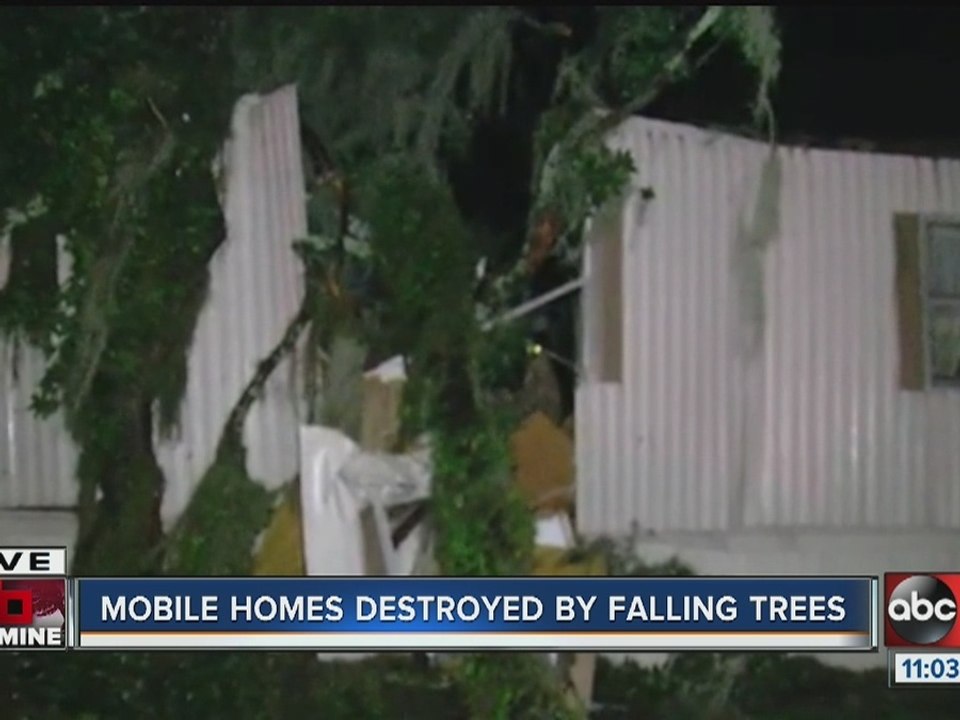 Mobile homes destroyed by falling trees in Valrico