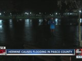 Hermine causes flooding in Pasco County
