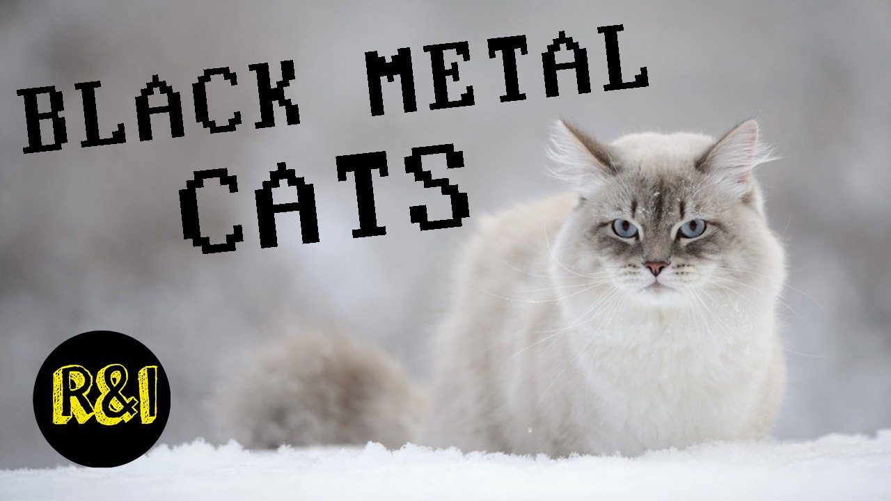 BLACK METAL CATS