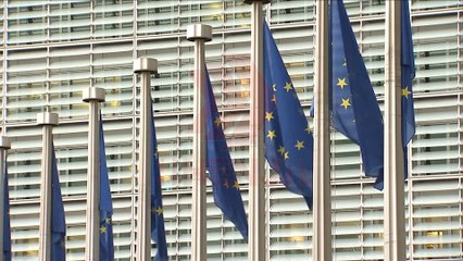 Ivanov: BE ka pasur qasje të gabuar ndaj Maqedonisë