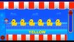Teaching Colors Lesson | Learn Colors For Toddlers Children Kids | Learning Colors With Duck
