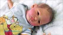 Reborn Baby Doll Morning Routine! Honor! All4Reborn.com Reborn Baby Dolls