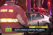 San Isidro: chofer en presunto estado de ebriedad choca auto contra palmera