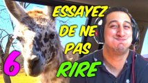 ESSAYEZ DE NE PAS RIRE 6 (Parler avec un abricot dans la bouche)