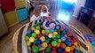 Babysitting dog never had to be taught how to love baby(Charlie the dog)