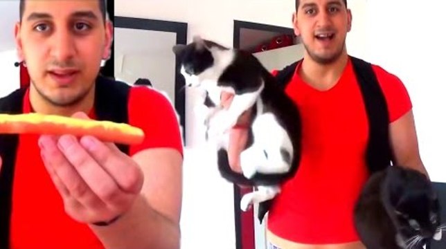 SAUCISSE A LA MOUTARDE ET HALTERE AVEC DES CHATS (Le Samedi Avec SnS__7)