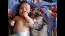 Cute cat loves baby - from funny and cute cats and babies collection