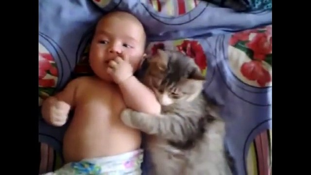 Cute cat loves baby - from funny and cute cats and babies collection