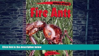 Big Deals  Animals ATTACK! - Fire Ants  Best Seller Books Best Seller
