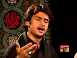 Saiyadan Di Ameeri Vi Ghazi, Zeeshan Haider 2013 14