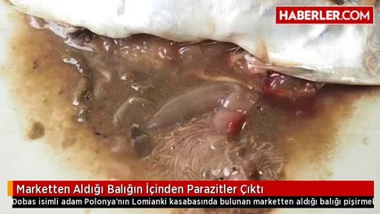 Marketten Aldığı Balığın İçinden Parazitler Çıktı