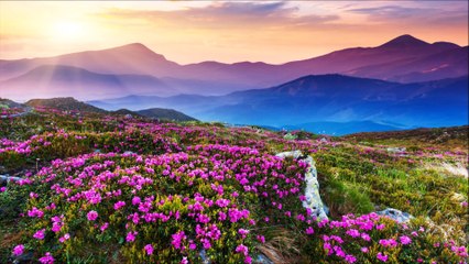 Surah Baqarah Translation &Tafseer part 7