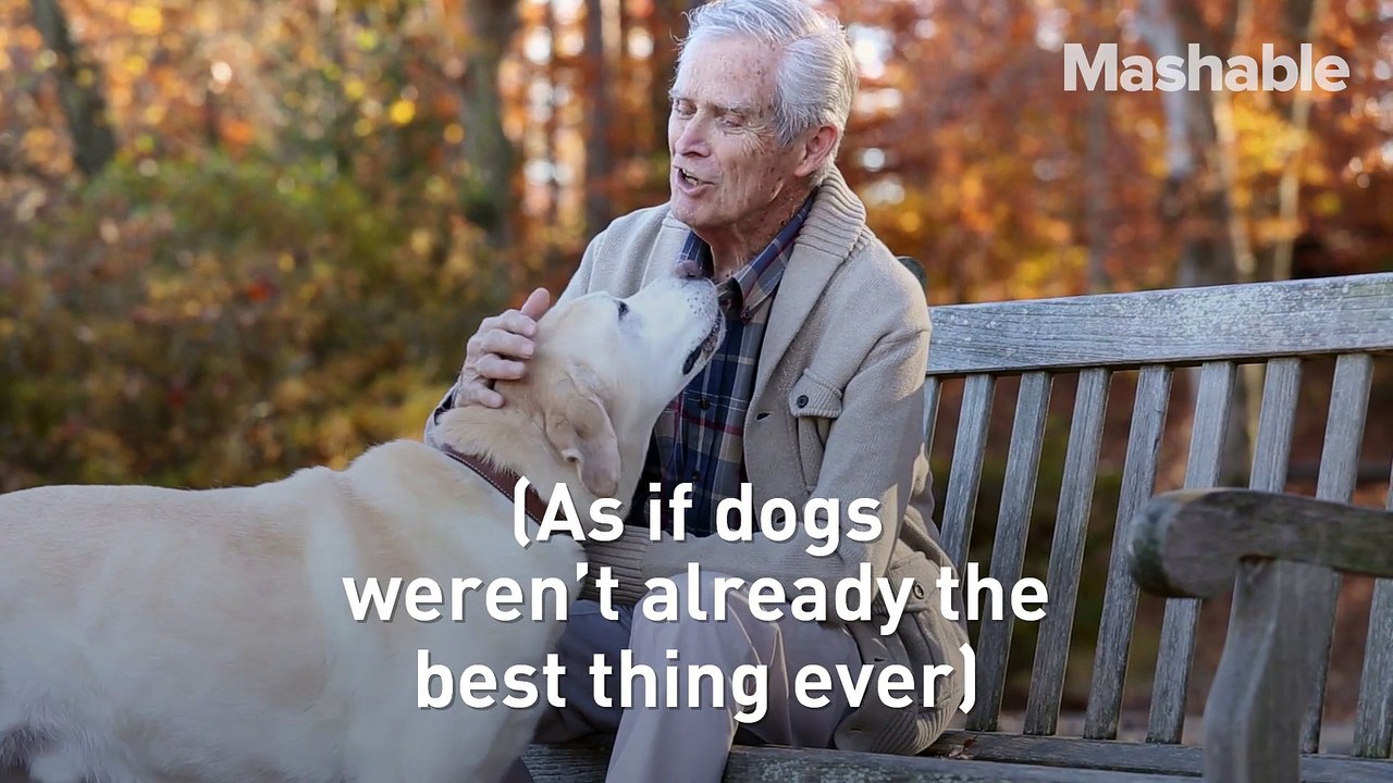 Science confirms you've been right all along: Your dog can actually understand you