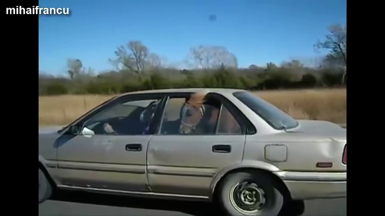 Top 10 Funny Horse Videos Compilation 2014 [NEW]