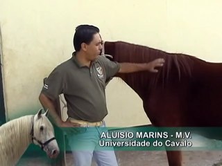 Como pegar as Patas - Universidade do Cavalo