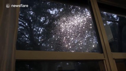 Power lines spark as Hurricane Hermine hits Florida