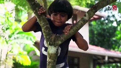 Sidu  Episode 20 02nd September 2016