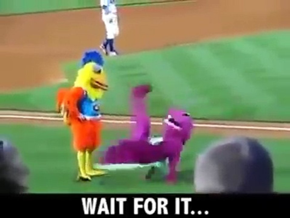 funny videos