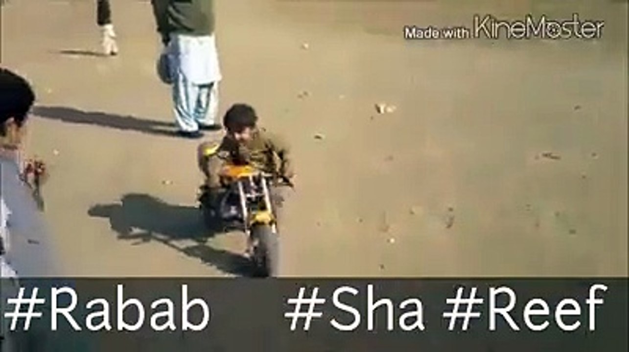 funny videos