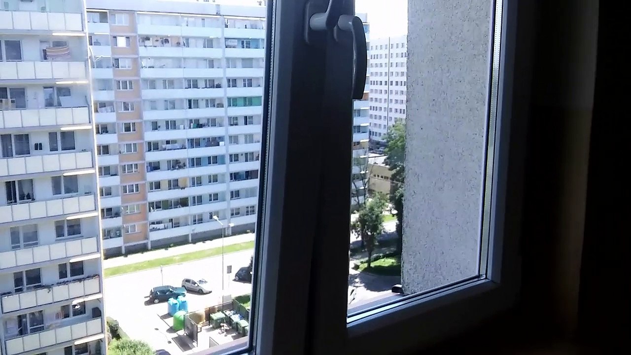 MOV_1843