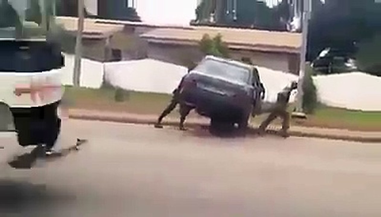 funny videos