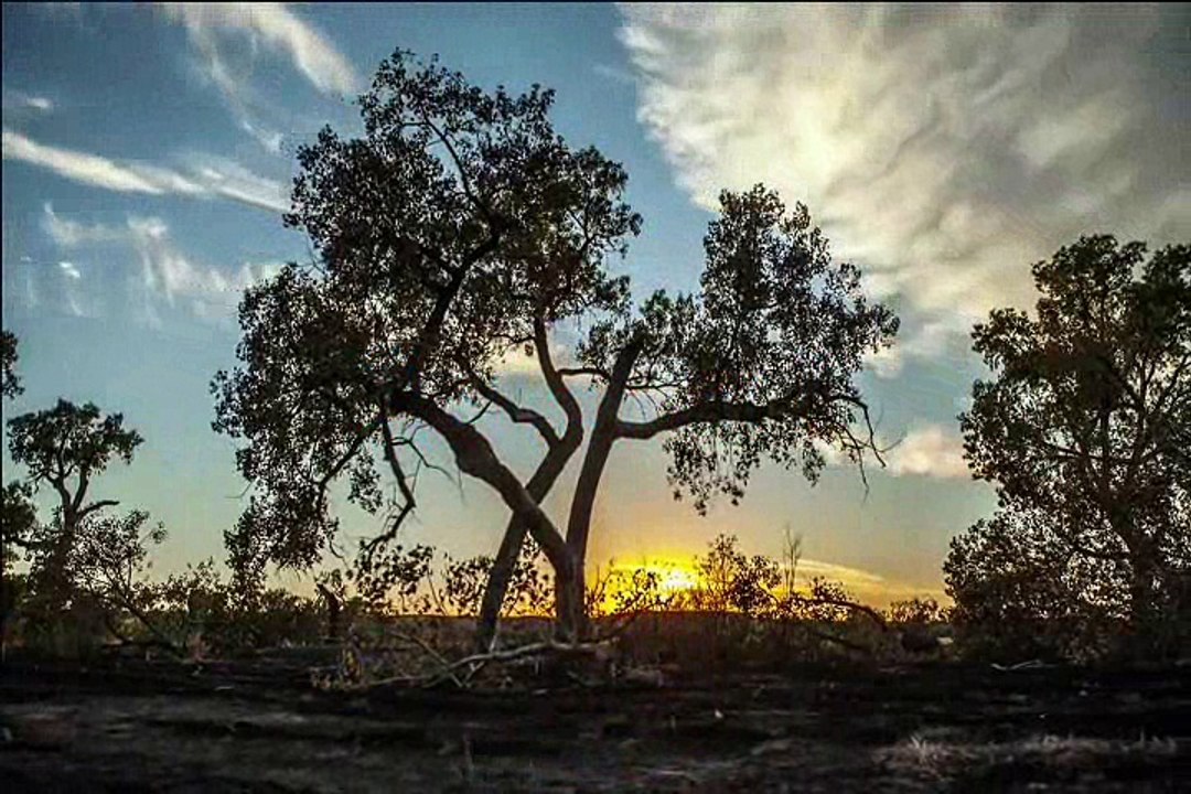 GOOD NIGHT & SWEET DREAMS with OLD GRAVES ~ Aethernaut I & Aethernaut II from LONG SHADOW Album by 2016