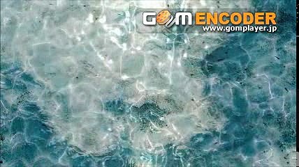 さんまのまんま 盲目のピアニスト辻井伸行 緊急彼女を大募集 2016.09.03 2016年9月3日