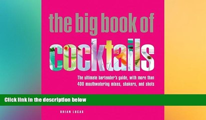 there is  The Big Book of Cocktails: The Ultimate Bartender s Guide with More Than 400