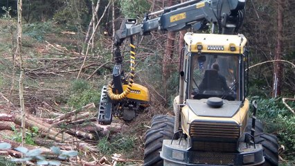 Travaux forestiers