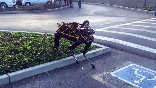 Пес и робот. Смешные приколы собаки